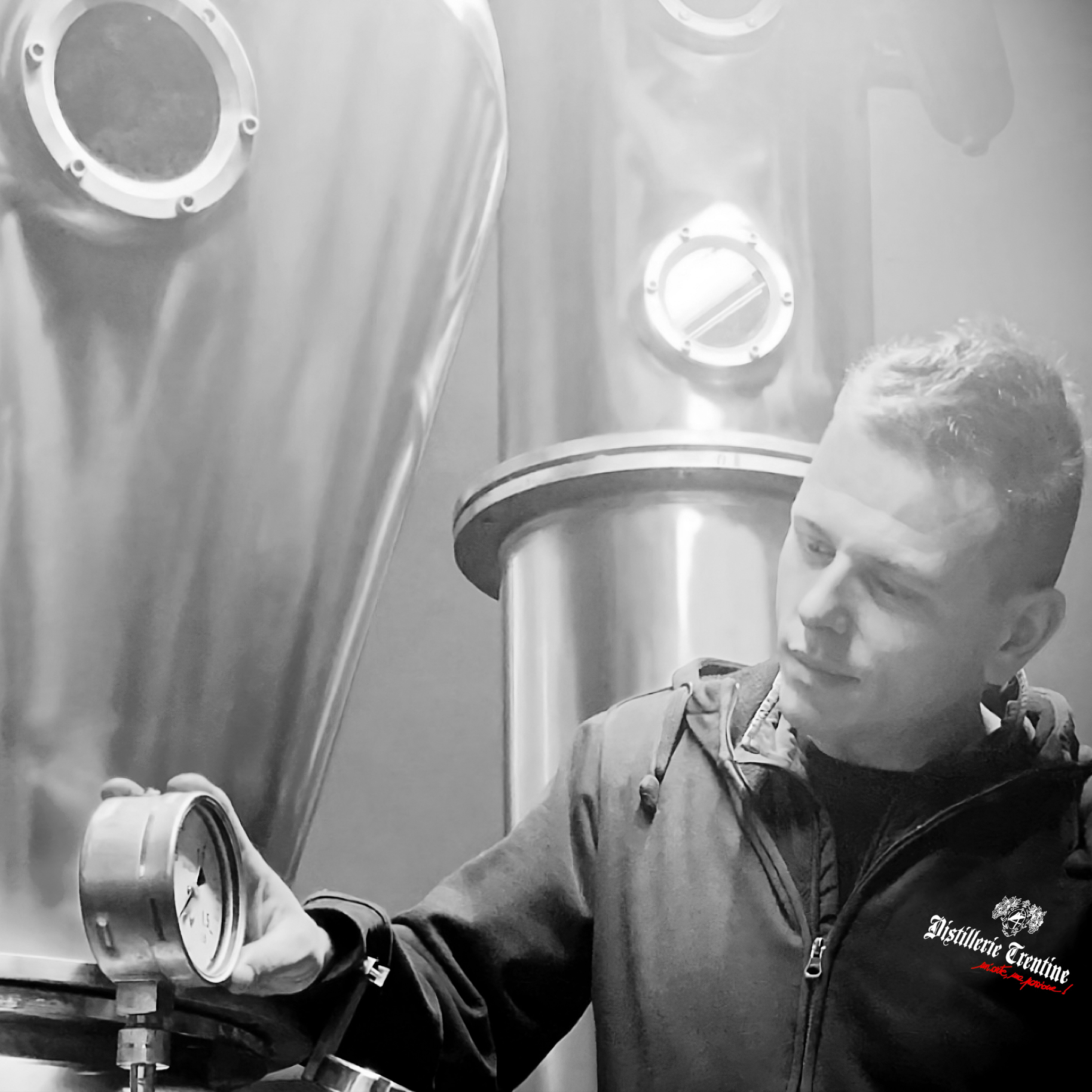 Categoria grappe e distillati